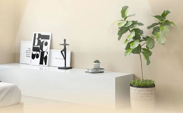 墻面臟污、發(fā)霉、不整潔怎么辦？